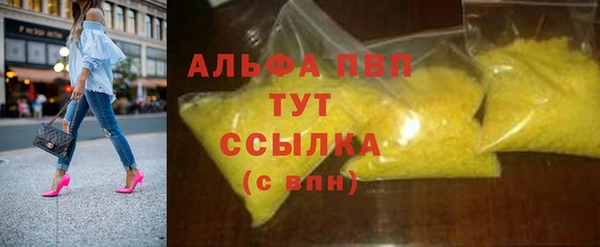 прущие грибы Богданович