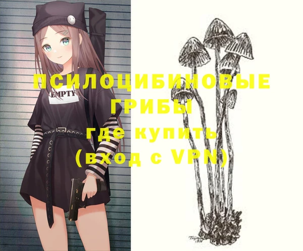 синтетический гашиш Богородицк
