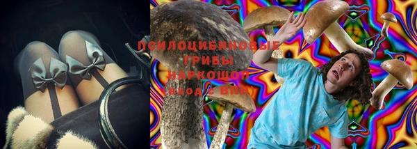 прущие грибы Богданович