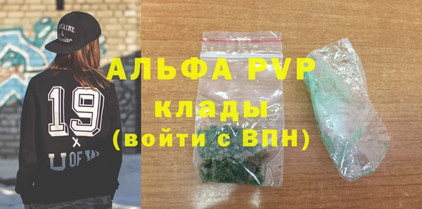 прущие грибы Богданович