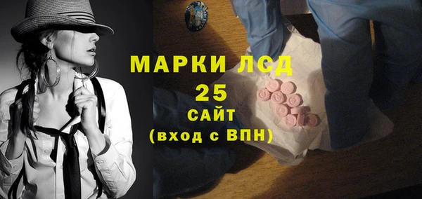 прущие грибы Богданович