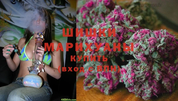 прущие грибы Богданович