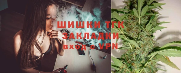 прущие грибы Богданович