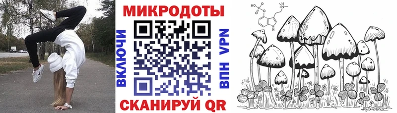 блэк спрут tor  Ворсма  Псилоцибиновые грибы Psilocybine cubensis 